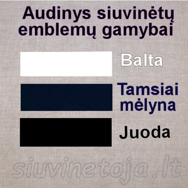 Audinys