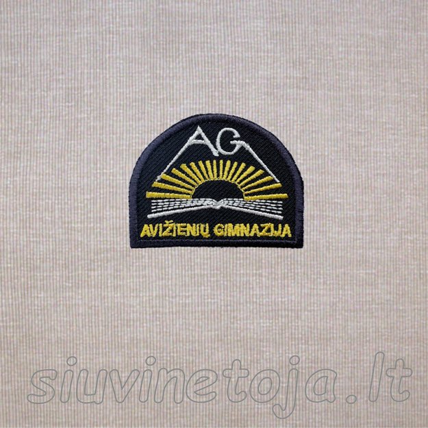 Aviženių gimnazija