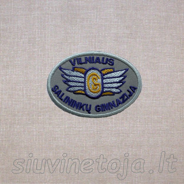 Vilniaus Salininkų gimnazija