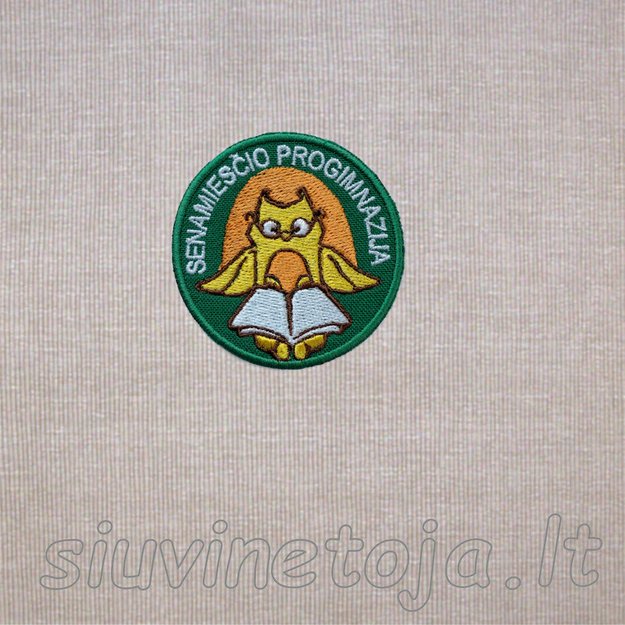 Senamiesčio progimnazija