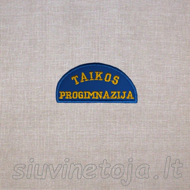Taikos progimnazija