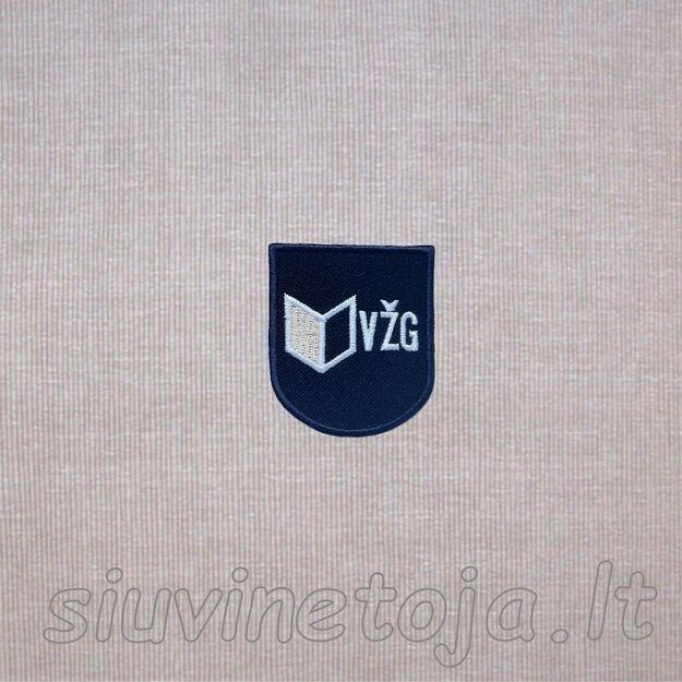Vilniaus Žirmūnų gimnazija