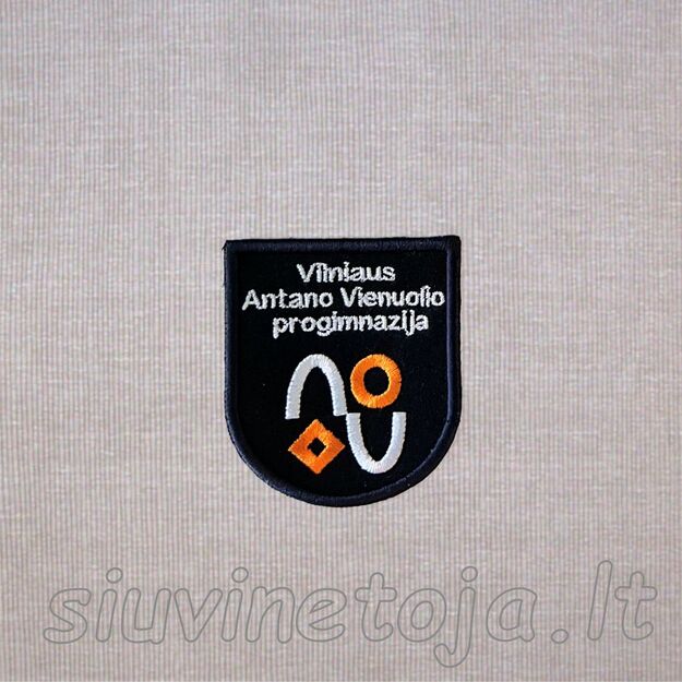 Vilniaus Antano Vienuolio progimnazija